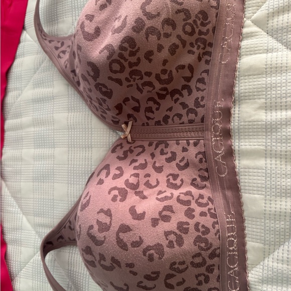 Lot of 7 Cacique Wire Free Bras 46DD - Picture 9 of 16